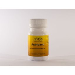 Canneberge 500 mg 100 comprimés