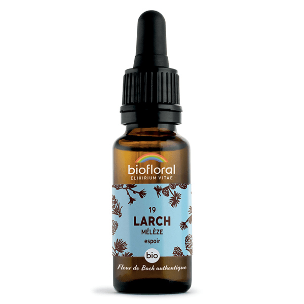 Fleur De Bach 19 Larch Meleze Compte Gouttes Bio Demeter 20 ml
