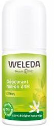 Déodorant Roll-On 24H Citrus - 50 ml - Flacon-Bille 50 ml