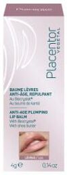 Baume Lèvres Anti-Age Repulpant 4 g - Bâton 4 g