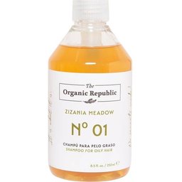 Shampooing pour cheveux gras 250ml