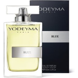 Blue Eau de Parfum pour Homme 100ml