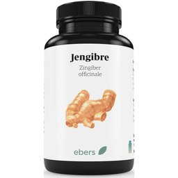 Gingembre 500mg Bio 50comp