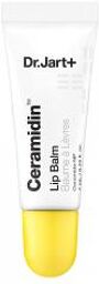 Ceramidin Baume à Lèvres Hydratant 7 ml - Tube 7 ml