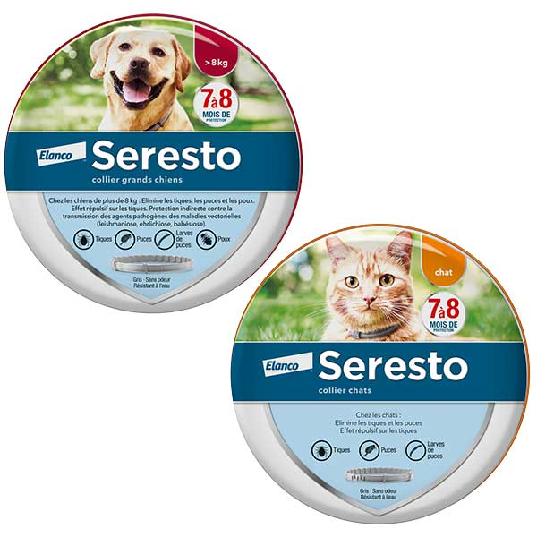 Grand Chien et Chat Lot de 2 boîtes