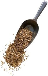 Tisane Chiendent Italie racine Agropyrum rep.