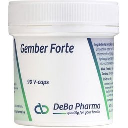 Gingembre Forte