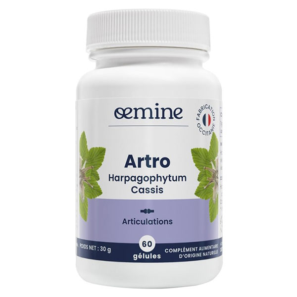 Artro Harpagophytum et Cassis 60 gélules