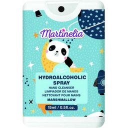 Hydroalcohollic Spray 15ml