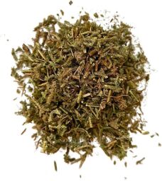 Tisane Lycopode plante 250 GRS Lycopodium clavatum.