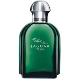 Jaguar For Men Eau De Toilette Eau De Toilette 100ml Vaporizador