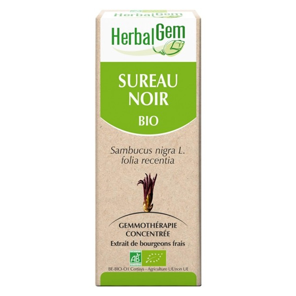 Macérat Concentré Sureau Noir Bio 30ml