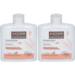 Shampooing Vinaigre de romarin - Cheveux regraissant vite