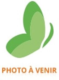Plat à Compartiments en Silicone avec Ventouse 12 Mois et + - Boîte plastique 1 plat