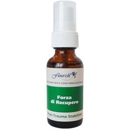 Post Trauma Stabilazer Spray C509 30ml