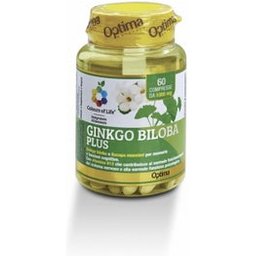 COULEURS VIE GINKGO BILOB60CPR GINKGO