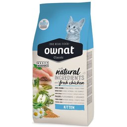 Classic Kitten (Cat)