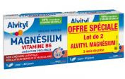 Magnésium Vitamine B6 Lot de 2 x 45 Comprimés - Lot 2 x 45 comprimés
