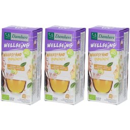 Damhert Wellbeing Thé Gingembre Citron vert BIO