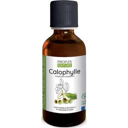 Aceite Vegetal Calophylle Bio 50ml