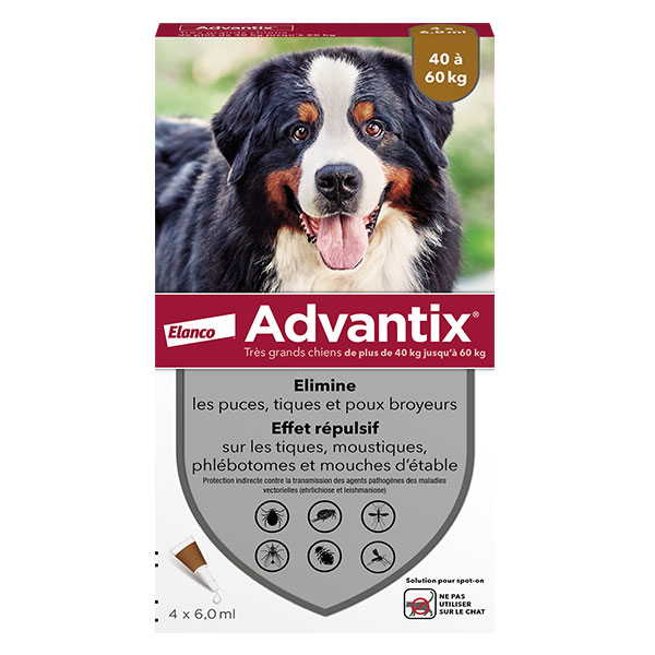 Chien Solution Antiparasitaire Très Grande Race 40 à 60kg 4 pipettes
