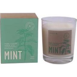 Bougie Vaisseau Botvasm Mint Menthe 7,5x9cm 1ut