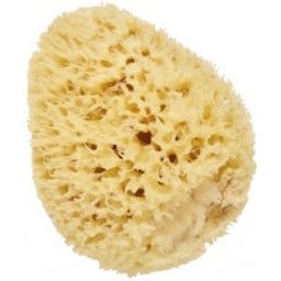 Cartel Eponge Mer Naturel 8Cm
