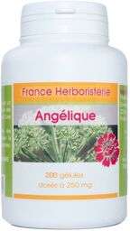 GELULES ANGELIQUE racine 200 gélules dosées à 280 mg.