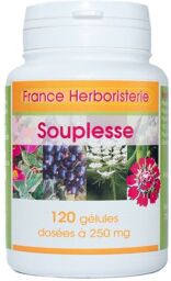 SOUPLESSE ARTICULAIRE 120 gélules 260 mg poudre pure