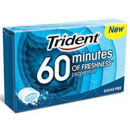 50 Minutes Fraîcheur Menthe Chewing Gum 20g