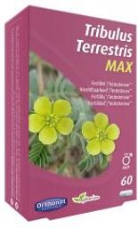 Tribulus Terrestris Max Fertilité et Testostérone 60 Gélules - Boîte 60 Gélules