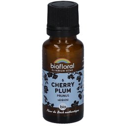 06 Cherry Plum - Prunus