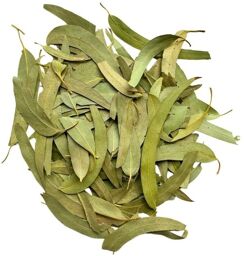 Tisane Eucalyptus feuille 250 GRS ENTIERE extra Eucalyptus globulus