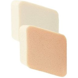 Latex Make-up Sponge Kit 2pcs