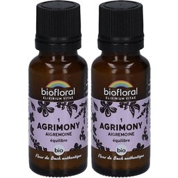 01 Agrimony - Aigremoine