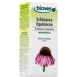 Echinacea Purpurea Echinacée Bio 50 ml