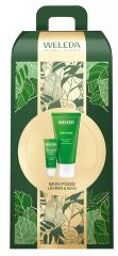 Skin Food Soin Réparateur 30 ml + Baume Lèvres 8 ml - Coffret