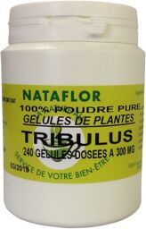 GELULES TRIBULUS 240 gélules dosées à 300mg.