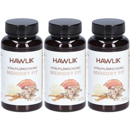 Vitalpilzmischung Memory Fit avec ginkgo et champignons bio