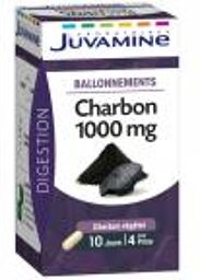 Charbon 1000 mg Ballonnements 40 Gélules - Boîte 40 Gélules