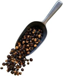 Tisane Guarana SEMENCE ENTIERE 1 kilo Paullinia cupana var.sorbilis