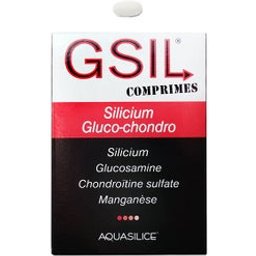 Gsil Comprimés Silicium Gluco-Chondro 30comp