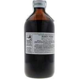Ribes Nigrum 1000Ml Mg