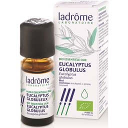 Huile essentielle Eucalyptus globuleux Bio
