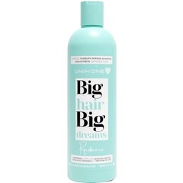Big Hair Big Dreams Resistance Shampoo 500ml