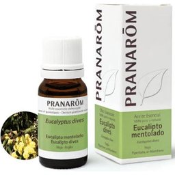 Eucalyptus Ment He 10ml