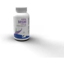 Fepa-Msm + C 90caps