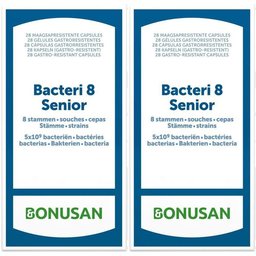 Bacteri 8 Senior