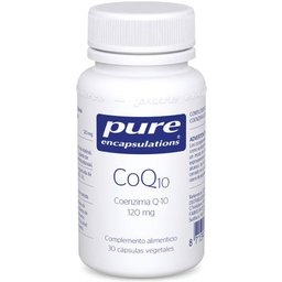 Encapsulations pures Coq10 30 Caps