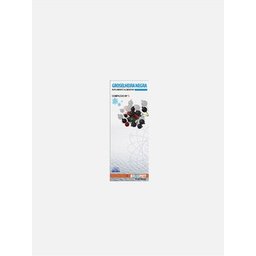 Groselheira Negra Complexo Nº5 100ml